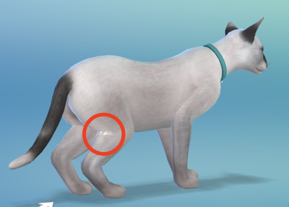 Sims 4 Pets Custom Content